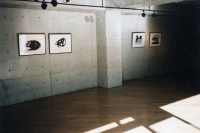 Galerie Yoko Ito, Tokyo, 1998
